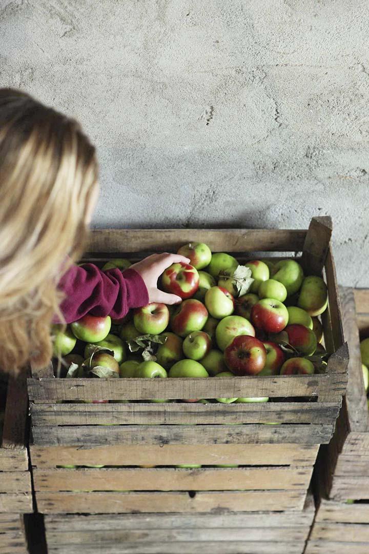 Ragazza con le mele- raccolta delle mele | Mavigirls Food I Love Lifestyle